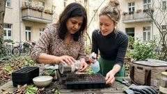 Aussaat im März: diese 7 Sommerblumen sorgen für ein Blütenmeer bis in den Herbst