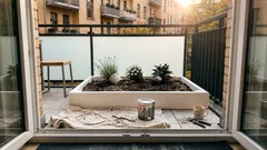 Weißes Staudenbeet anlegen: mit Sonnenhut, Shasta-Margerite und weißem Lavendel durch den Sommer